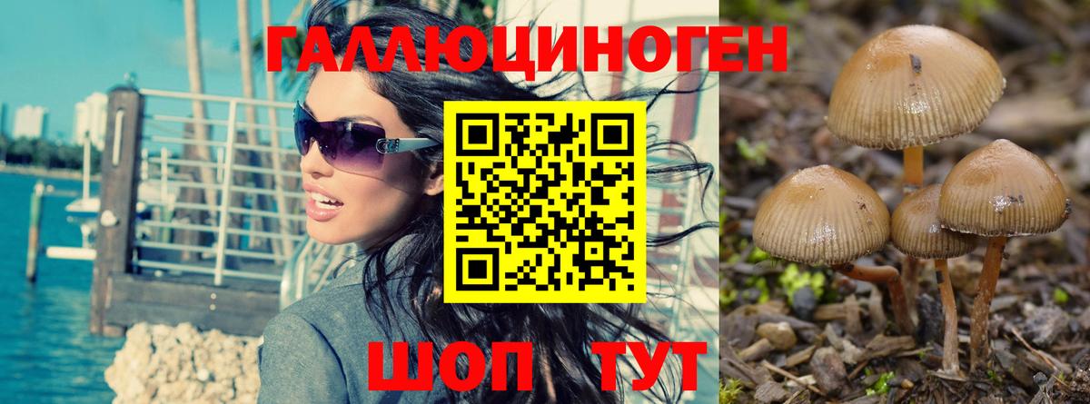 Галлюциногенные грибы Magic Shrooms Сланцы